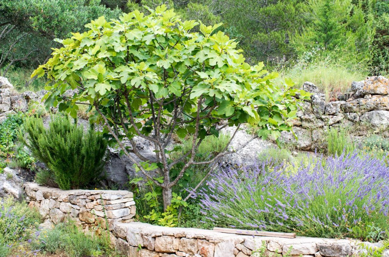 דירות פרוויץ' שפורינה Milica Garden מראה חיצוני תמונה