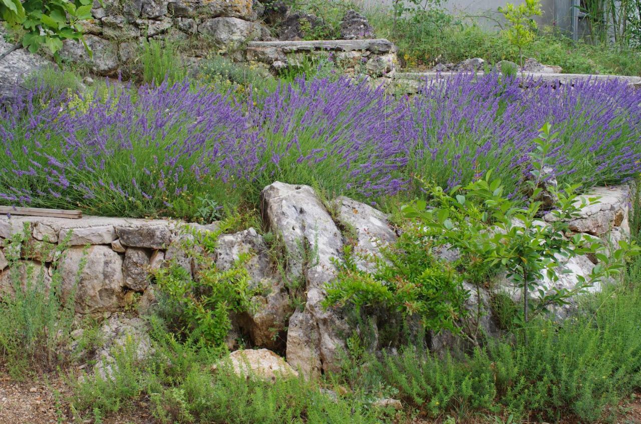 דירות פרוויץ' שפורינה Milica Garden מראה חיצוני תמונה